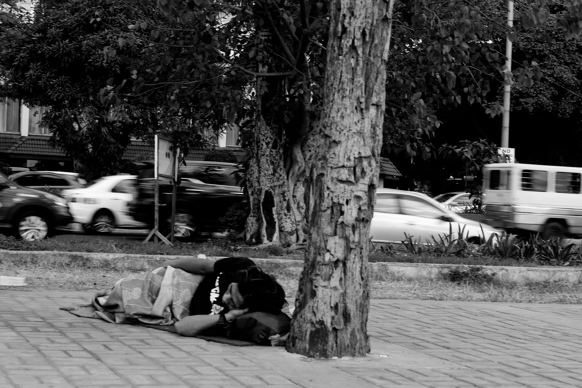 Homeless veteran sleeping outside next to a tree on the street